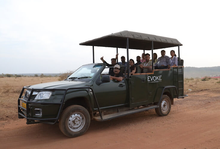 Jungle Safari at Gandhisagar Forest Retreat