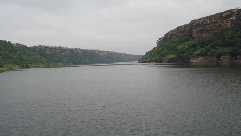 Gandhisagar Leopard and Vulture Safari